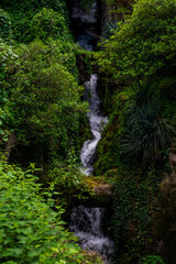 Fototapeta premium waterfall in park with forest surrounding
