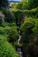 waterfall in park with forest surrounding