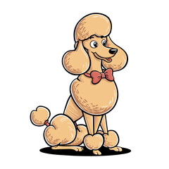 Poodle Doodle Art: Elegant Illustration of a Graceful Canine