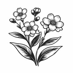 a drawing of flowers with the words flowers on it forgetmenot outline