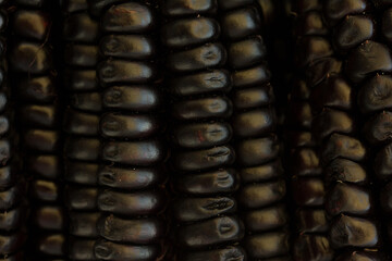 Macro photo of the texture of Peruvian purple corn. Concept of greens and vegetables.