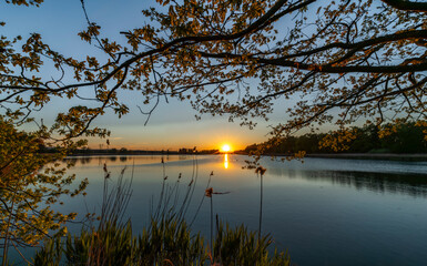 Dam between Bezdrev and Cesnovicky cip pond with spring color sunset with trees