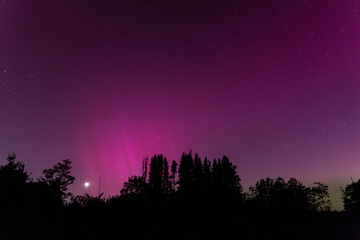 Fototapeta premium Aurora Borealis