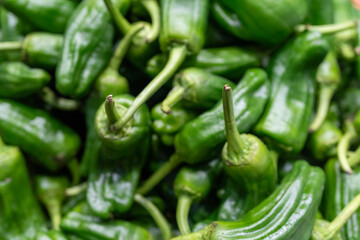 Fresh and Healthy Green Peppers: Nutritious Snack Vegetables Available at the Market. Organic, Tasty, and Full of Flavor, Perfect for a Nutritious Diet and Culinary Delights. the Best in Fresh Produce