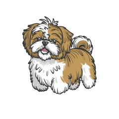 Obraz premium Shih Tzu Doodle Art: Charming Illustration of a Regal Lap Dog