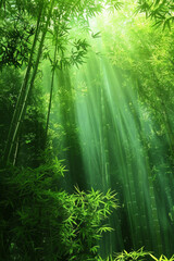 A serene bamboo forest bathed in soft sunlight, with slender bamboo stalks stretching towards the sky and lush green foliage filtering the dappled light, creating a tranquil oasis of natural beauty.