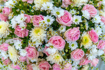 Beautiful floral background for greeting or postcards. Texture of various garden flowers, top view.