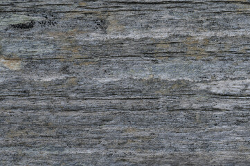 Gray background made of old faded wooden boards. Copy space. Texture of natural aged wood. Copy space