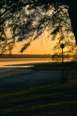 Sunset on the lake shore with tree silhouette and lighthouse