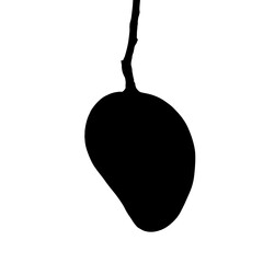 Mango Silhouette, illustration. Mango hanging illustration.