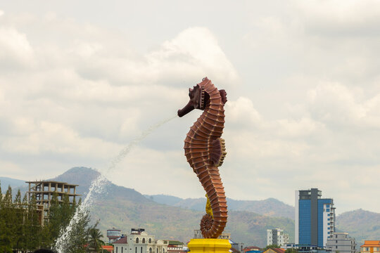 new seahorse at kampot cambodia