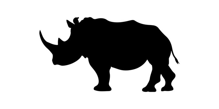 Vector silhouette of a rhino isolated on white background. Full editable eps file available. safari animal silhouette in black color