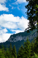 dolina chochołowska