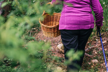 Rear shot of an older woman walking through a forest with a basket in her hand.