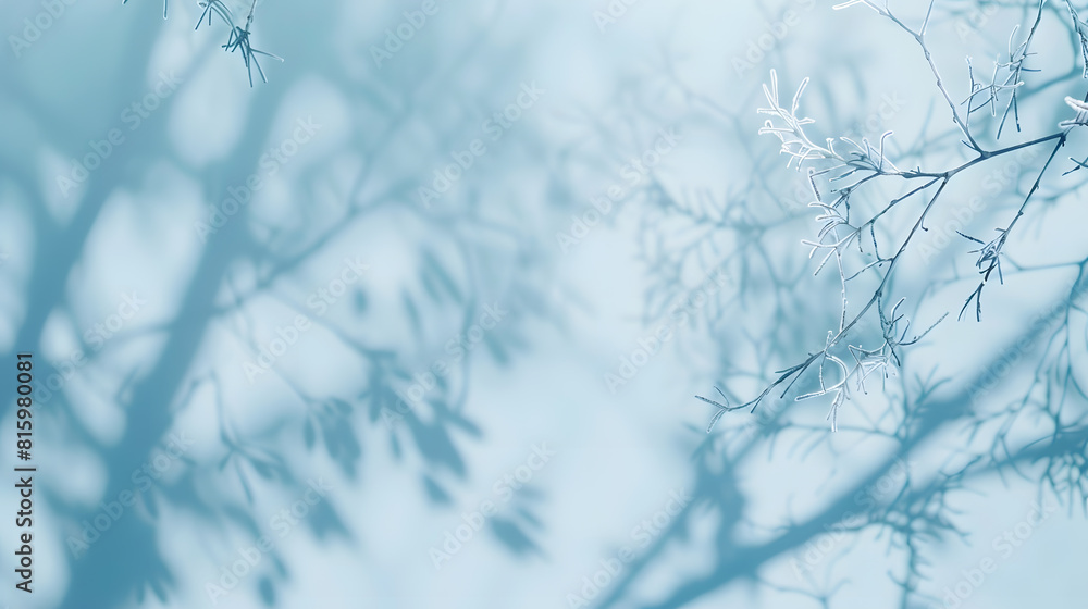 Aufkleber Minimalistic abstract gentle light blue background for product presentation with light and intricate shadow from tree branches on wall : Generative AI