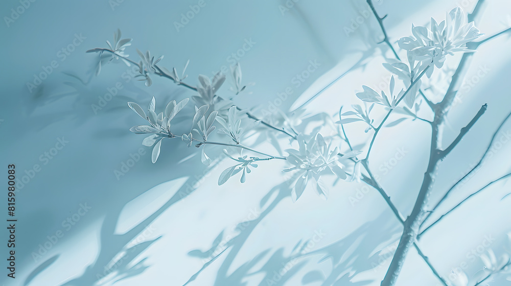 Aufkleber Minimalistic abstract gentle light blue background for product presentation with light and intricate shadow from tree branches on wall : Generative AI