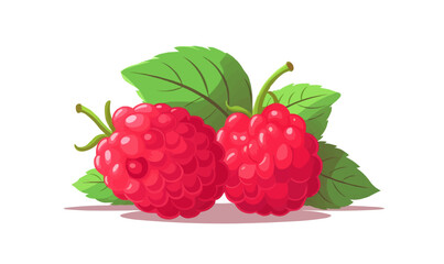 Raspberry vector flat minimalistic isolated vector style illustration