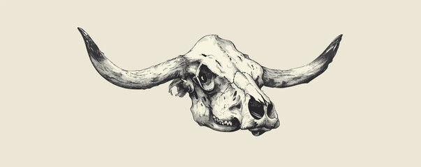 Cow skull sketch hand drawn in doodle style Vector illustration