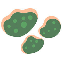 Seashell vector illustration. Oceanic mollusk, underwater creature. Hand drawn doodle, sea animal sketch. Aquarium cockleshell. Marine cartoon isolated clipart.