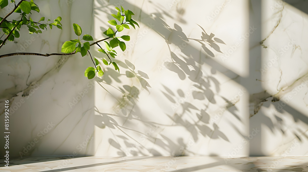 Poster spring sunlight in green branch of tree with shadow on white marble tile wall wood table copy space 
