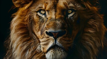 Naklejka premium Majestic Portrait of a Noble and Fierce Lion in Its Natural Habitat