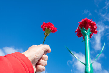 a hand holding a red carnation at the celebration of April 25th in Portugal. Revolution day with...