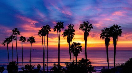 Obraz premium A beautiful sunset over the ocean with palm trees in the background
