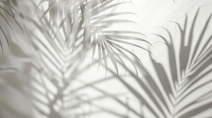 minimalist abstract background with palm leaf shadows on neutral gray summer concept