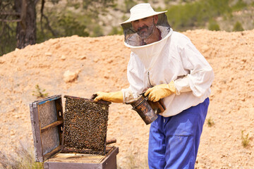 A man in a beekeeper's outfit is tending to a hive