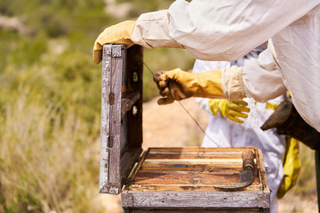 A man in a beekeeper suit is opening a wooden box with a bee inside