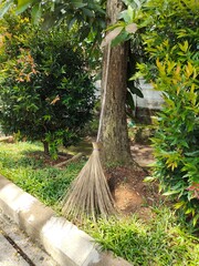 Broomstick Recently Used Resting Against Tree in Garden