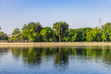 Summer landscape of Shichahai Park in Beijing