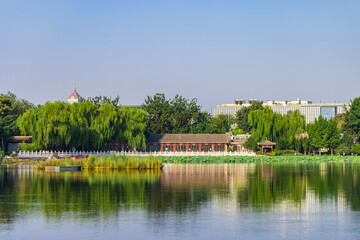 Summer landscape of Shichahai Park in Beijing
