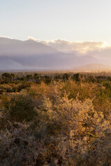 iconic and breathtaking sunset outside Palm Springs along the highway road in the evening. Vivid sky colors and vegetation