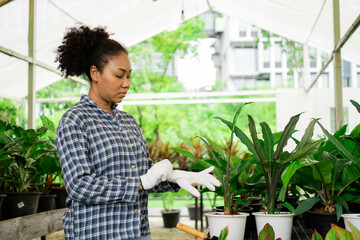 A woman is looking at plants in a greenhouse. She is wearing gloves and seems to be examining the...