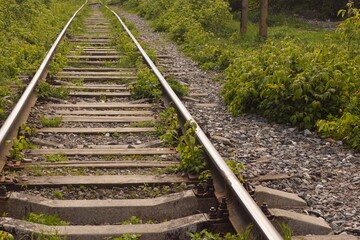 Obraz premium An old railroad with plants growing nearby