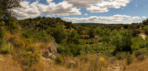 monte mediterraneo