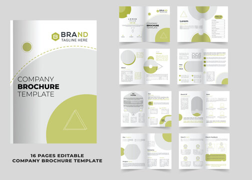 16 pages Professional company profile brochure design