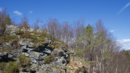 grass in the mountains