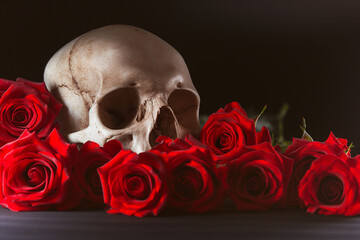 skull and roses, A captivating Vanitas composition features a human skull surrounded by vibrant red roses, isolated against a dramatic black background