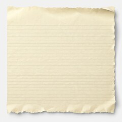 Realistic paper scraps with torn edges. Sticky notes, shreds of notebook pages