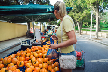 Woman at a farmers market buys persimmons.