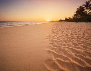 Fototapeta premium sunset on the beach