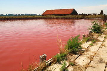 The main bathing, swimming pool at the Burgas Salt Pans with water of intense pink color and a...