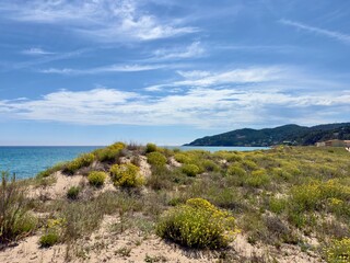 dunes at Platja del Racó with a view towards the Mediterranean Sea and the hills around Begur,...