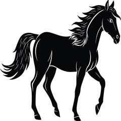 Horse silhouette vector, on white background