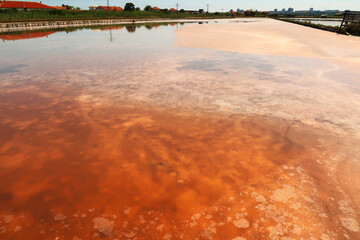 Visible pink and orange salt deposits, residue forming a pattern under the smooth surface of a pool...