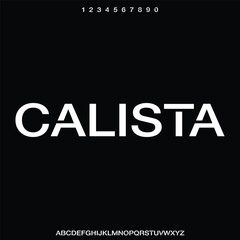 LUXURY ELEGANT FONT VECTOR ALPHABET SERIF TYPE