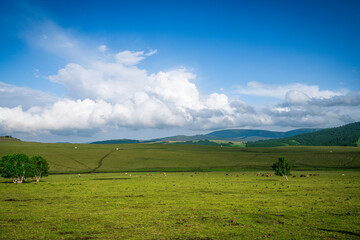 Scenery of the Re'a Line Grassland in Keshiketeng Banner, Chifeng City