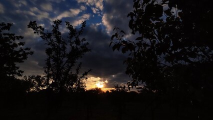 Summer sunset landscape 